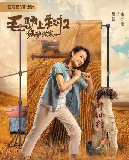 在线中文字幕观看