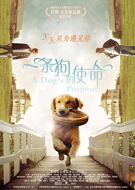 免费被到爽羞羞小说