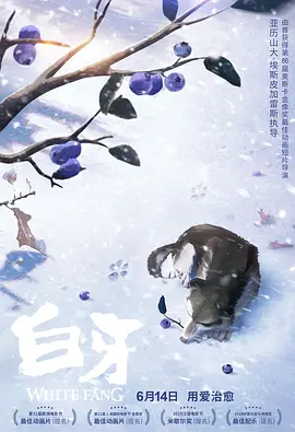msi中国官网