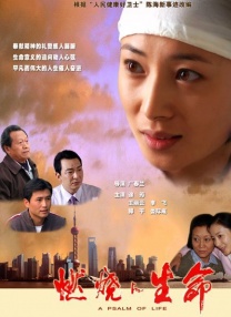 我的女友是傻瓜