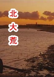 五月的婷婷