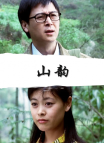 国产欧美日韩va