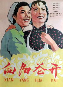 年轻的寡妇2