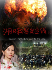 午夜视频在线观看www中文
