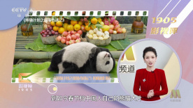 亚洲国产品综合人成综合网站